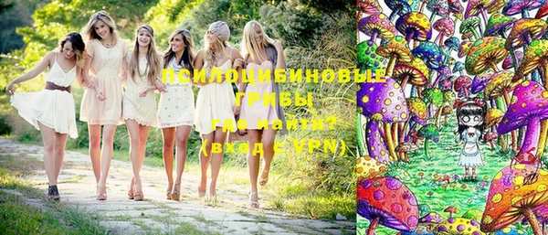 МДПВ Медногорск