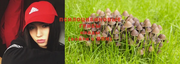 тгк Переславль-Залесский