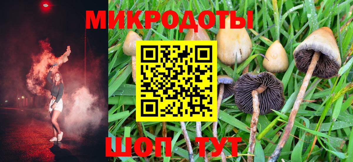 Галлюциногенные грибы Psilocybine cubensis Усть-Джегута