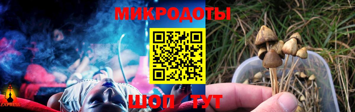 Галлюциногенные грибы прущие грибы  Псилоцибиновые грибы MAGIC MUSHROOMS  Вход с VPN  Усть-Джегута 